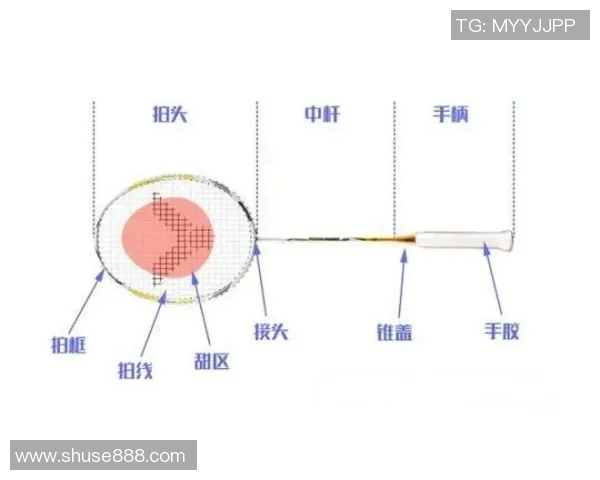 羽毛球装备选购指南:如何选择适合自己的球拍推荐与技巧分享 羽毛球装备选购指南:如何选择适合自己的球拍推荐与技巧分享