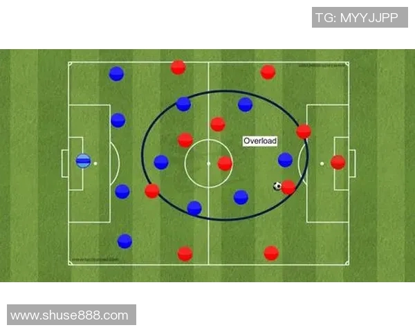 西安羽毛球队防守策略深度分析与战术解读