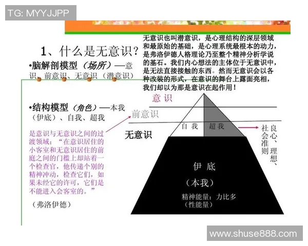 北京篮球队的意识探讨与发展路径分析