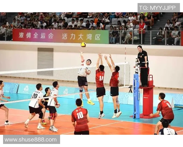 南京排球队全运会精彩配合展现团队精神与竞技实力分析
