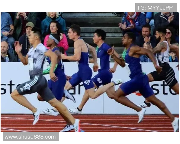 广州排球队在钻石联赛积分榜上以89分稳居第一名展现强劲实力