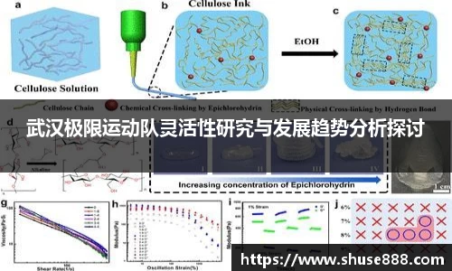武汉极限运动队灵活性研究与发展趋势分析探讨