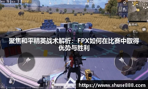 聚焦和平精英战术解析：FPX如何在比赛中取得优势与胜利