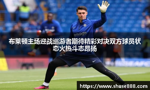 布莱顿主场迎战巡游者期待精彩对决双方球员状态火热斗志昂扬