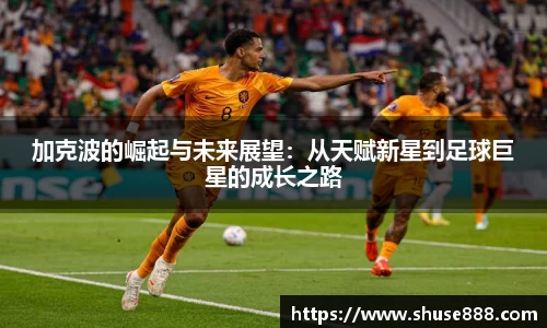 k1体育官方网站